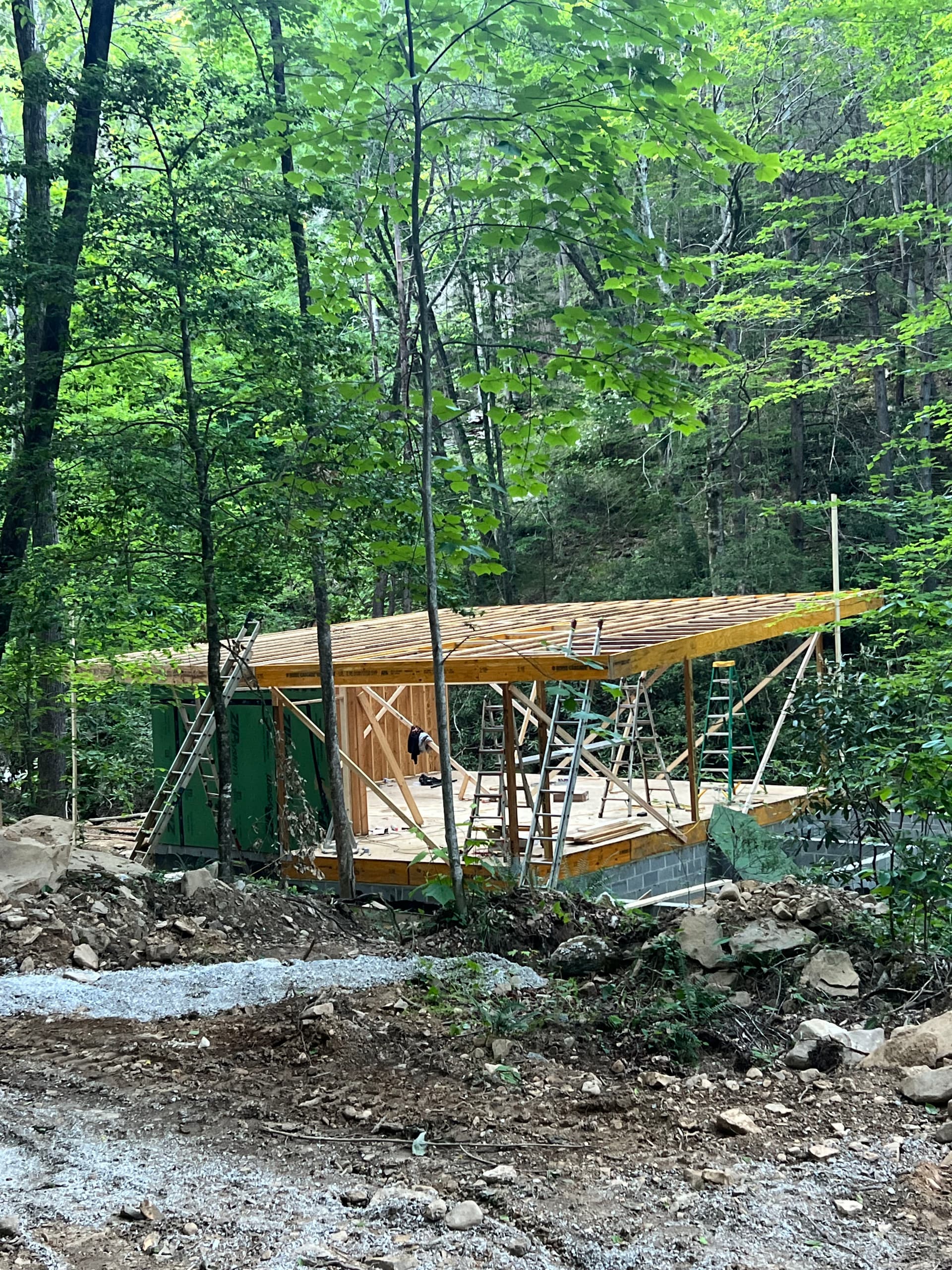 Gallery photos for Custom Forest Home Build Taking Shape in the Trees: Image #1